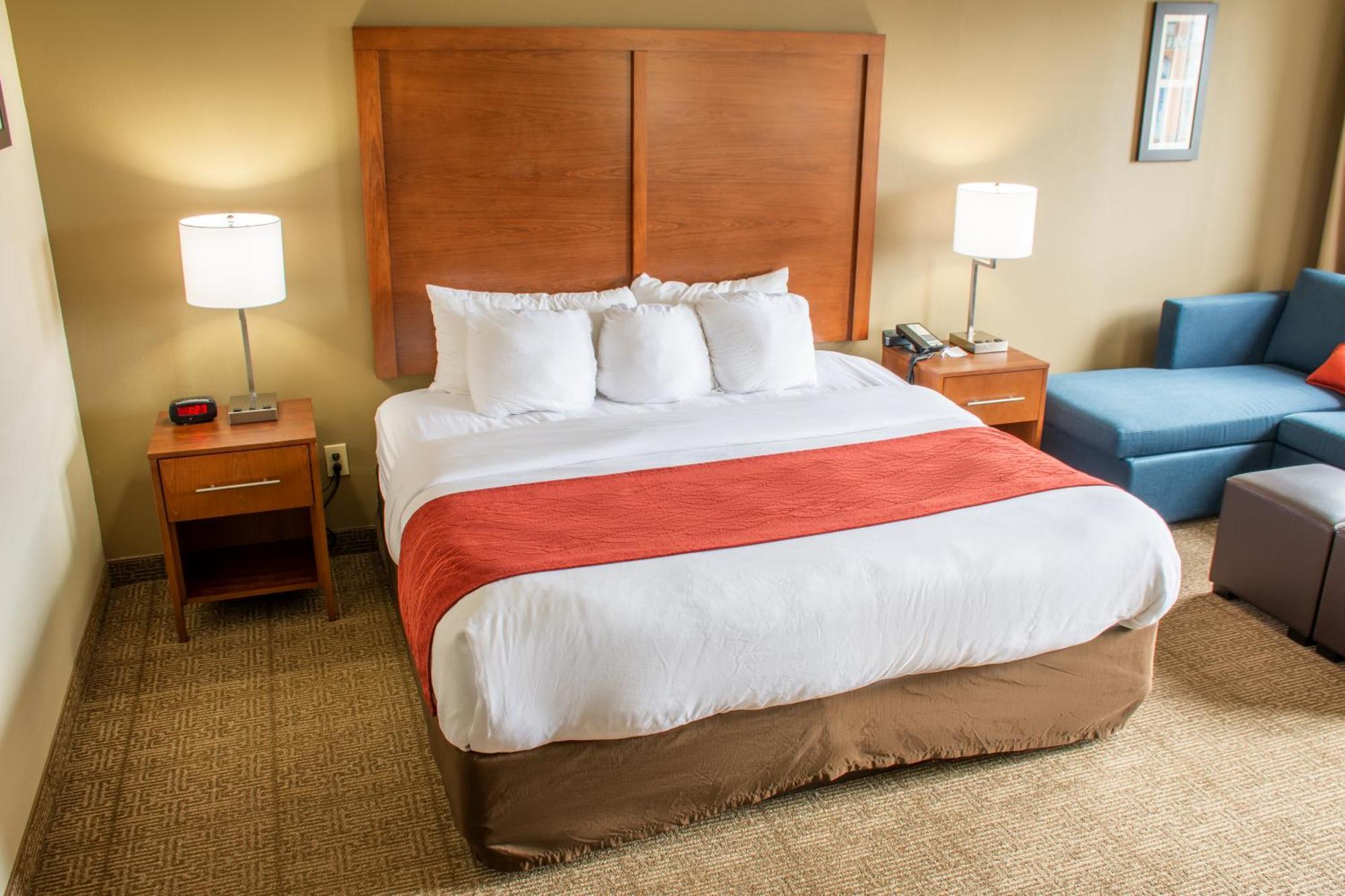 Comfort Inn Dickson Rum bild